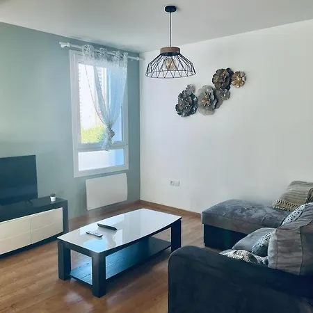 Charbonnier 6 Personnes Avec Terrasse Et Parking * Reims